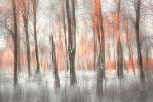 canvas-print-evening-light