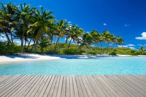 framedcanvas-print-beach-palms