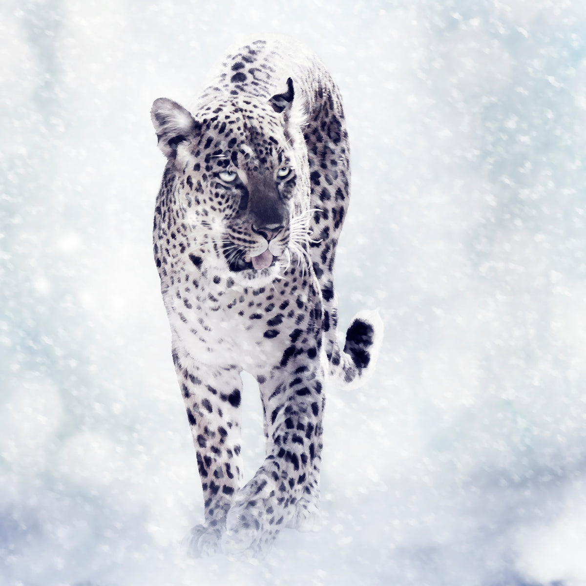 poster-print-photo-wallaper-the-leopard