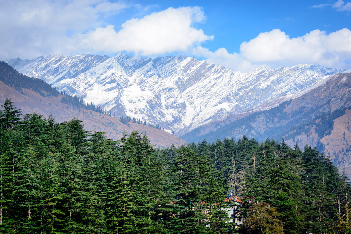 3-piece-acrylic-print-view-of-manali