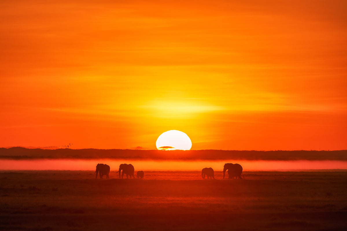 framedposter-print-africa-impression-x