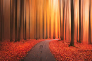 3-piece-acrylic-print-path-to-unknown