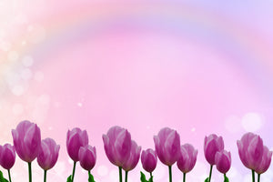 3-piece-aluminium-print-sweet-tulips