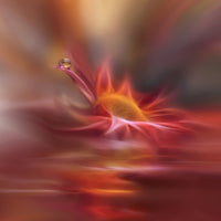 4-piece-aluminium-print-song-of-my-soul