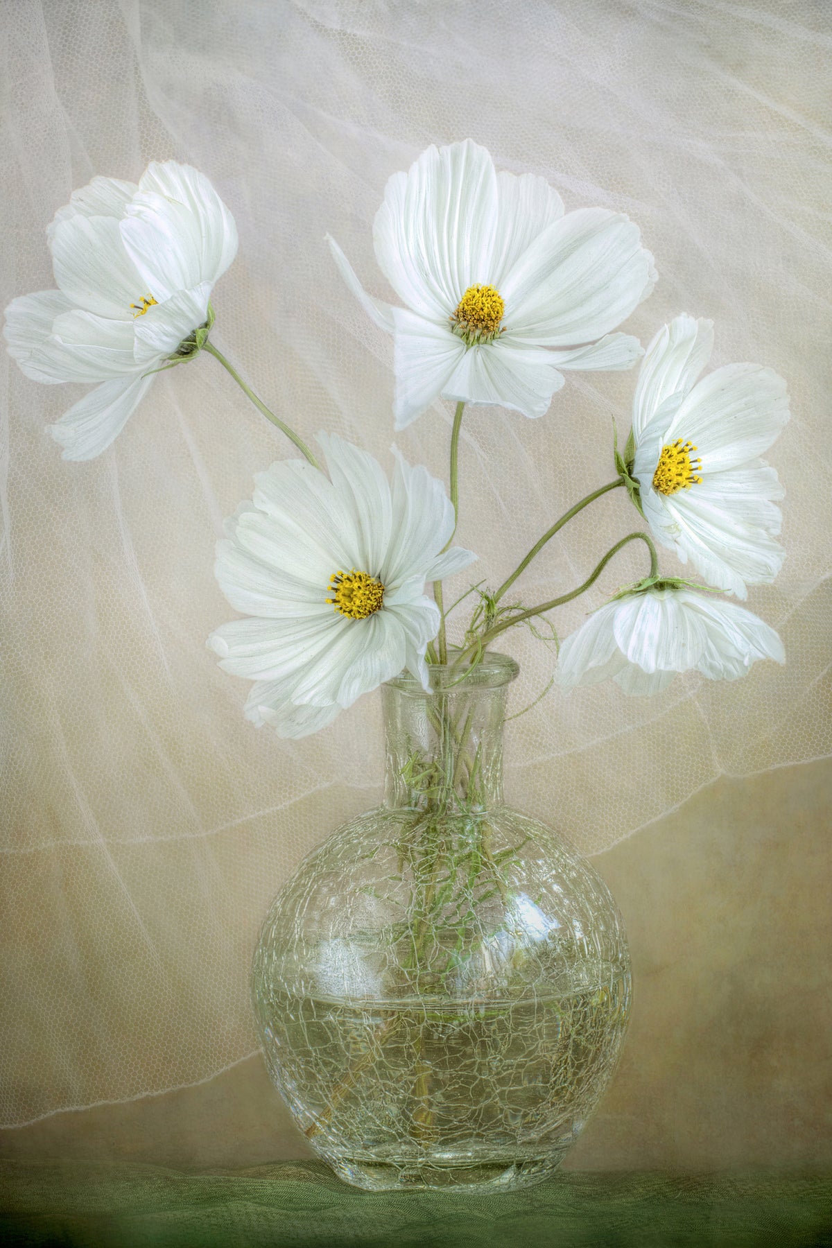 aluminium-print-cosmos-breeze