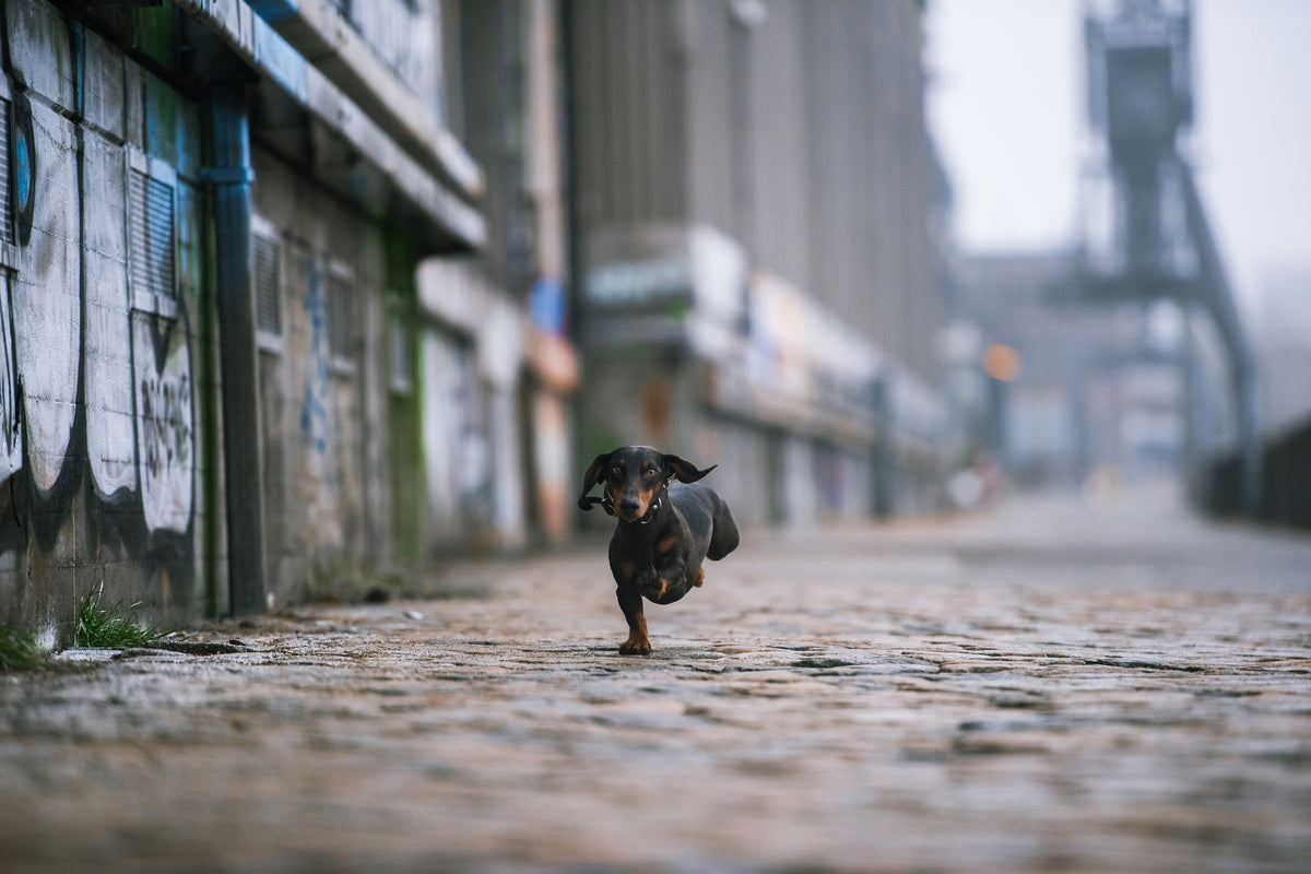 framedcanvas-print-the-dark-side-of-hamburg