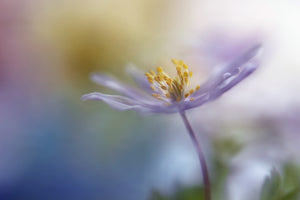 3-piece-acrylic-print-springtime-watercolor