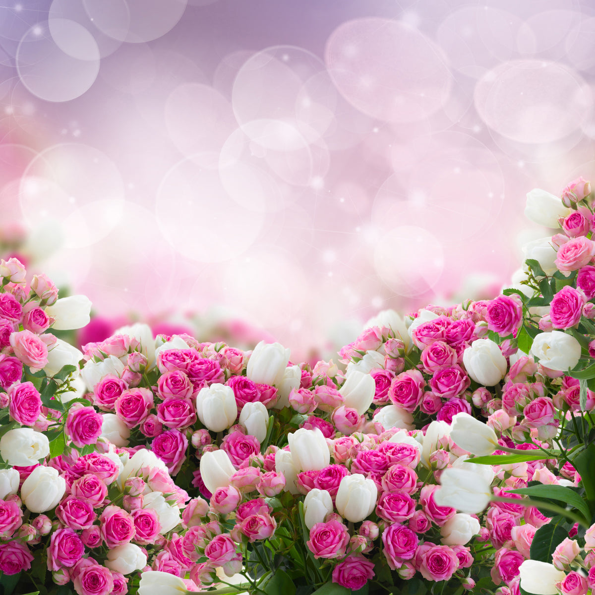 canvas-print-fable-roses