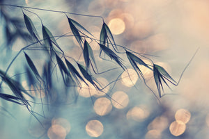 aluminium-print-straws