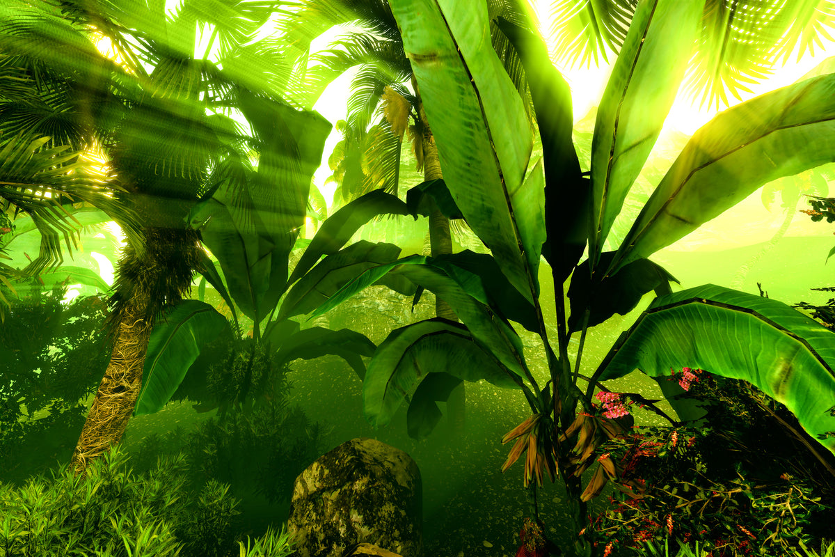 modern-3-piece-aluminium-print-sunrise-in-the-rainforest