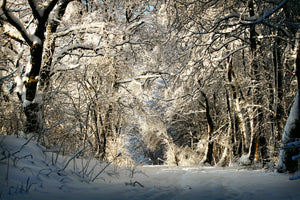 framedposter-print-a-winter-dream