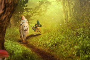3-piece-acrylic-print-forest-excursion