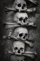 poster-print-skulls