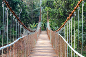 3-piece-canvas-print-bridge-for-the-brave