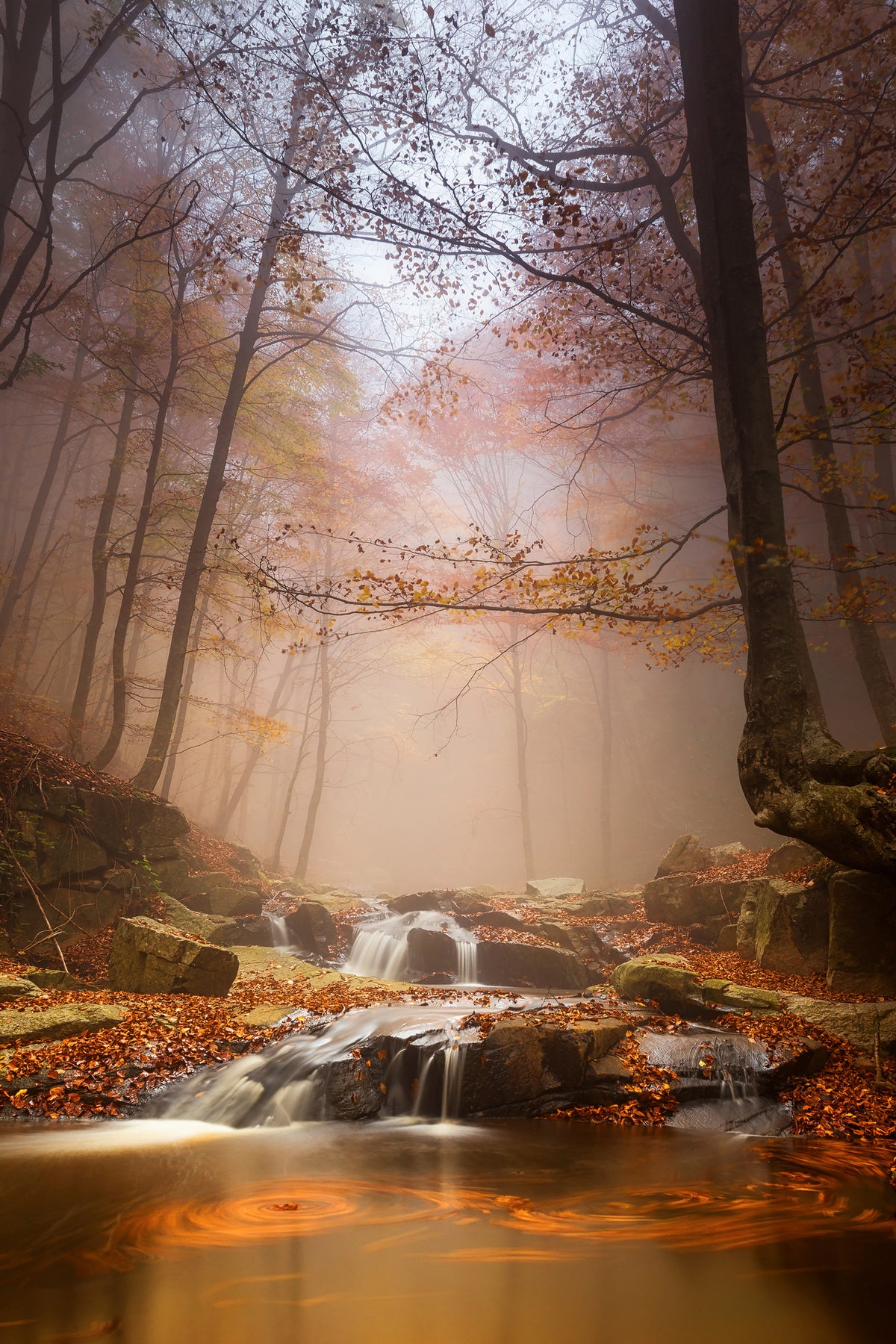 framedposter-print-mistyc-mist-x