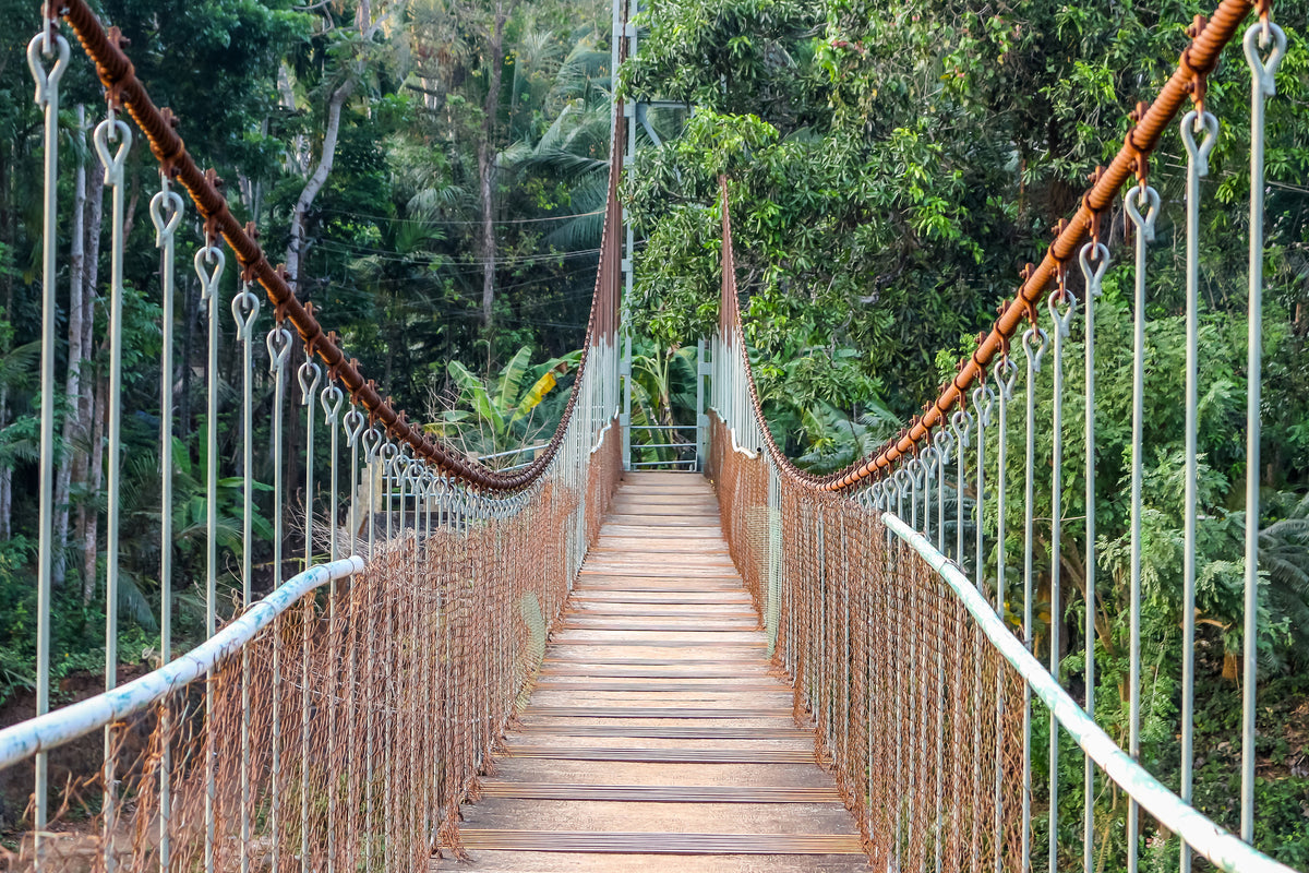 acrylic-print-bridge-for-the-brave