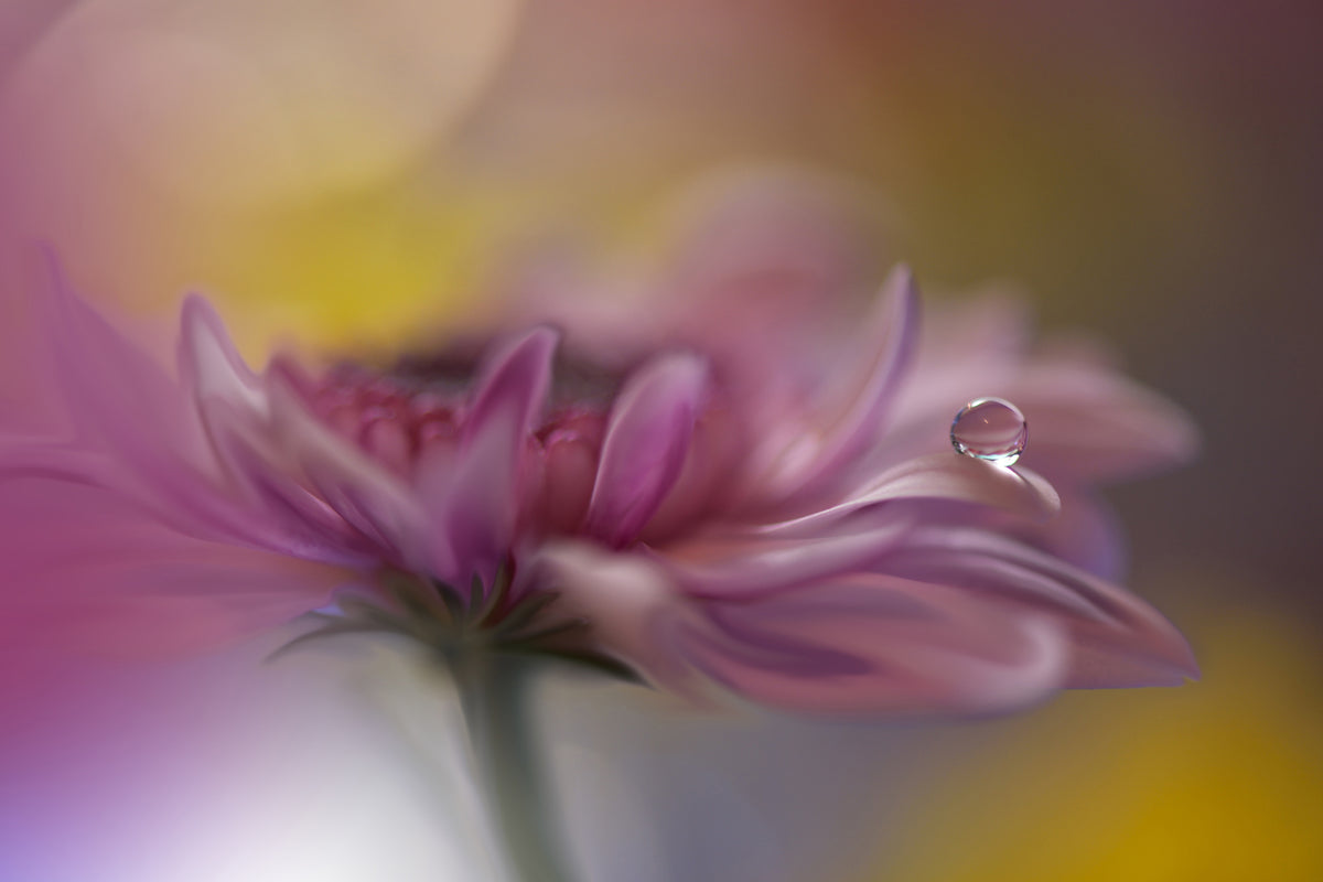 3-piece-canvas-print-beyond-words