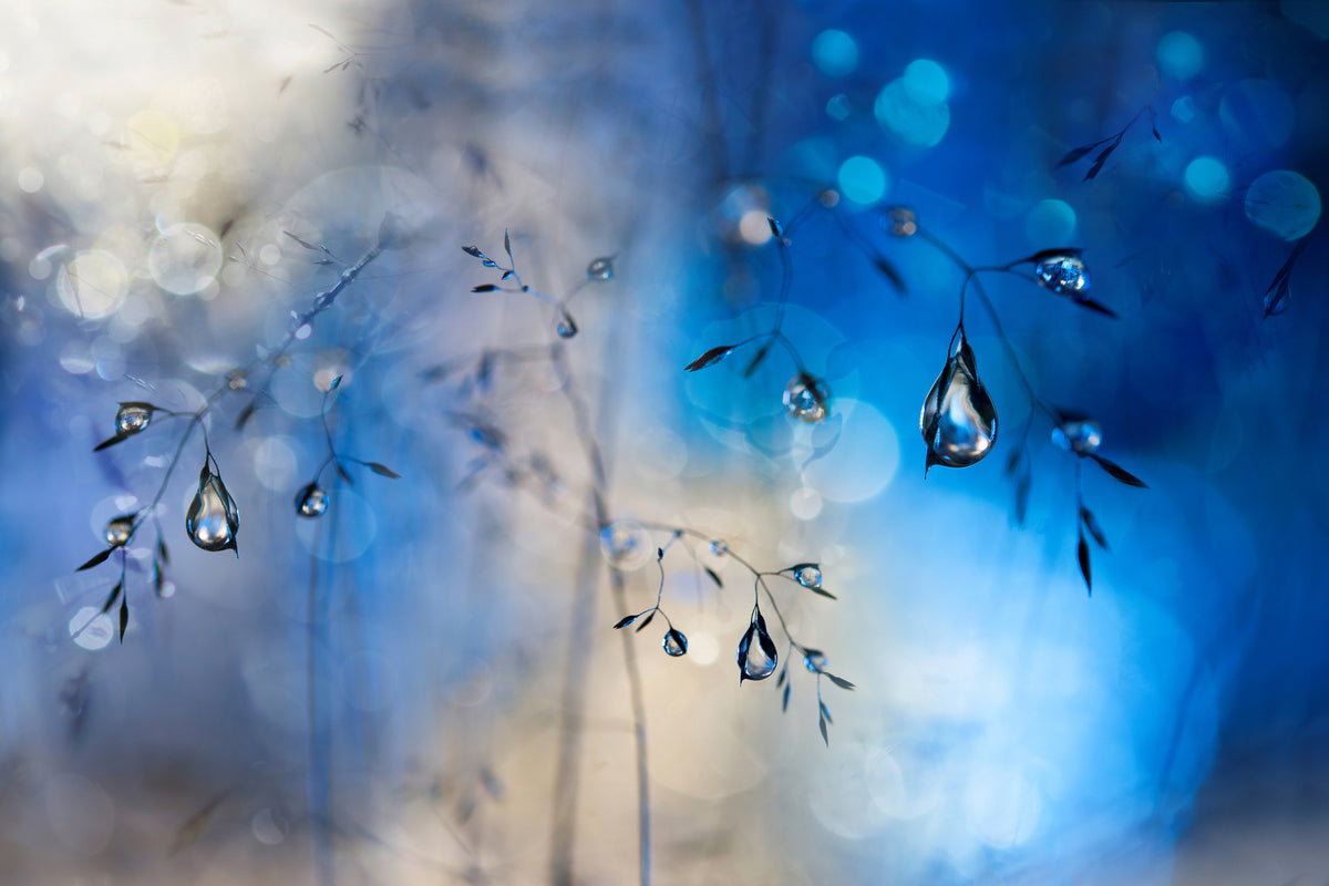 aluminium-print-blue-rain