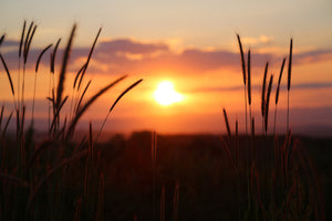 3-piece-aluminium-print-adorable-sunset