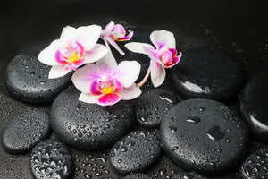 3-piece-aluminium-print-feng-shui-orchid-zen