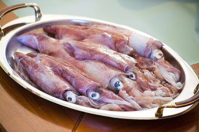 poster-print-raw-calamari