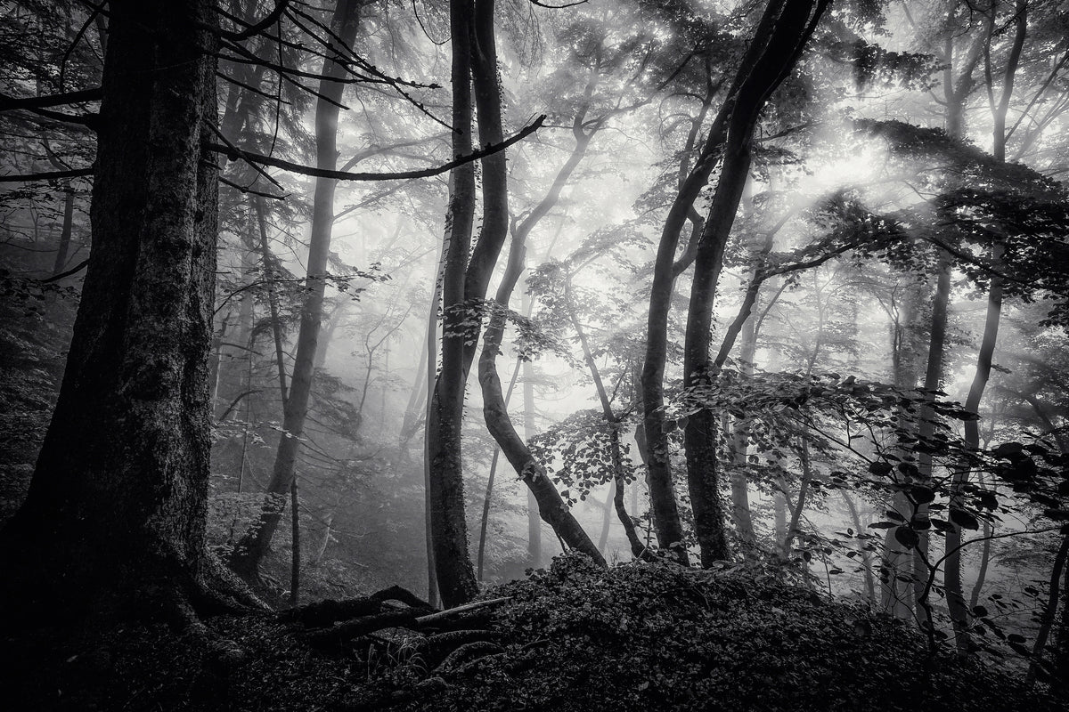 3-piece-aluminium-print-mysterious-light