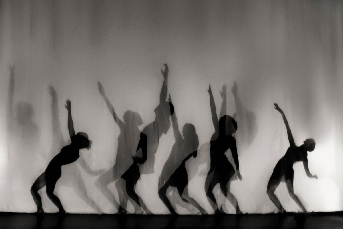 aluminium-print-dance-is-the-language-of-the-soul