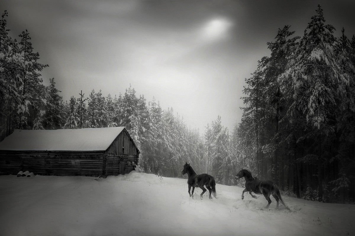 poster-print-untitled-xpe