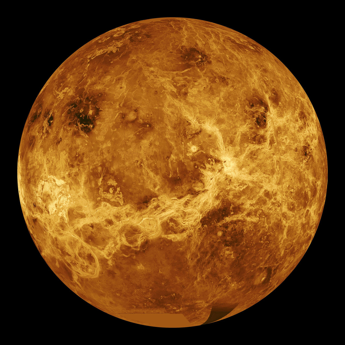 aluminium-print-the-venus