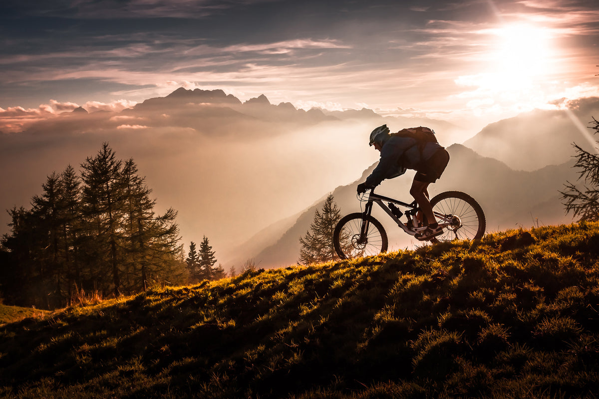 framedposter-print-golden-hour-biking-x