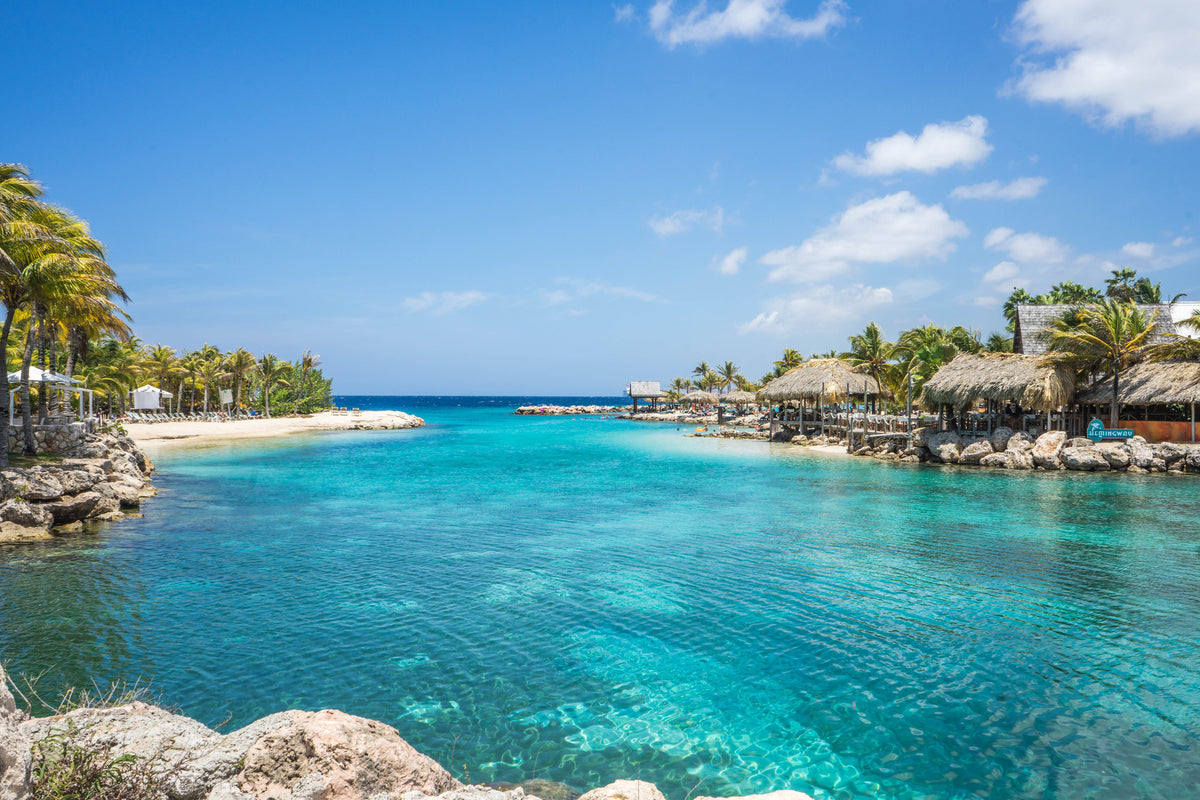 3-piece-canvas-print-life-in-a-lagoon