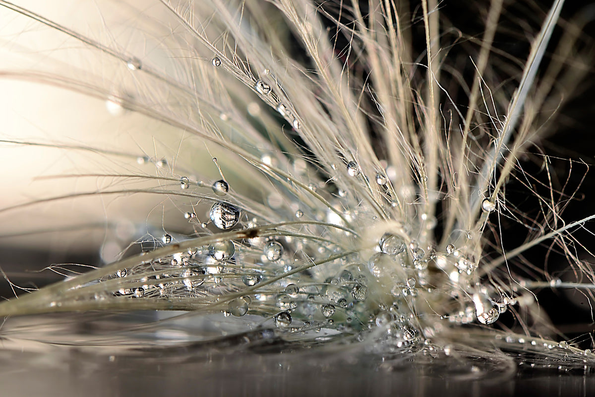 aluminium-print-pearls-x