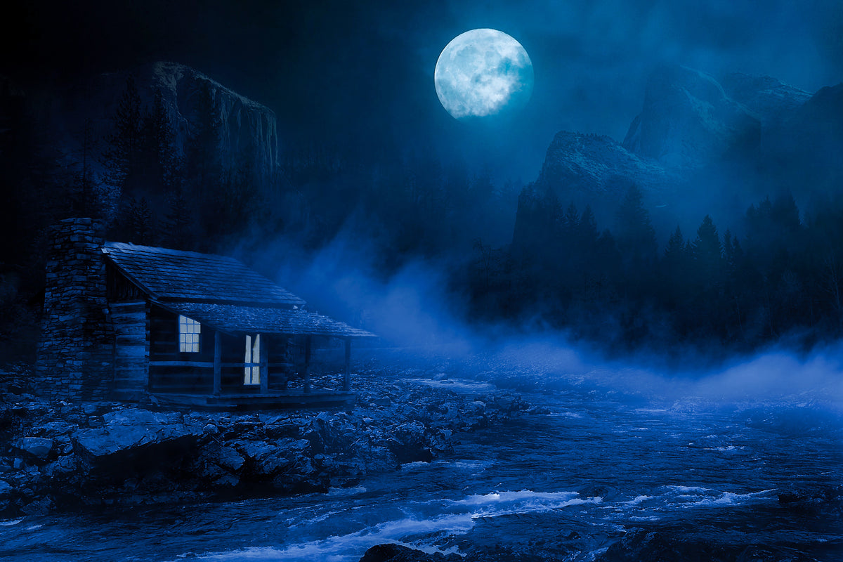 poster-print-at-night-in-the-woods