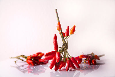 poster-print-a-bouquet-of-chili