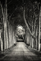acrylic-print-alley