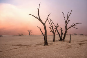 3-piece-canvas-print-fog-in-deadvlei