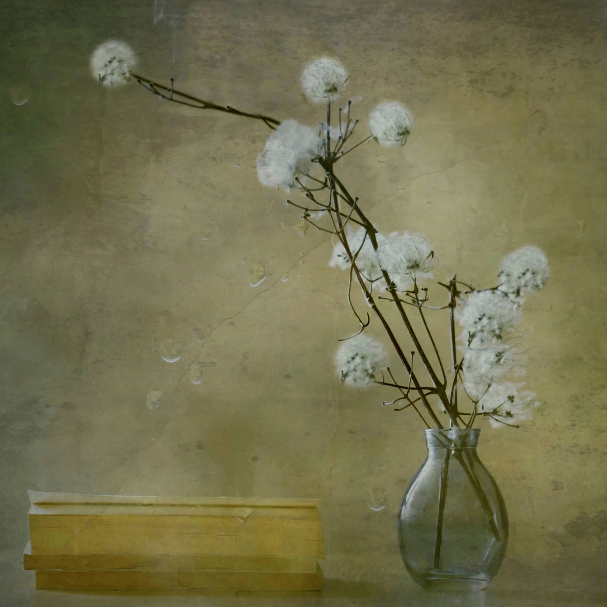 canvas-print-books