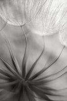 aluminium-print-into-the-heart-x