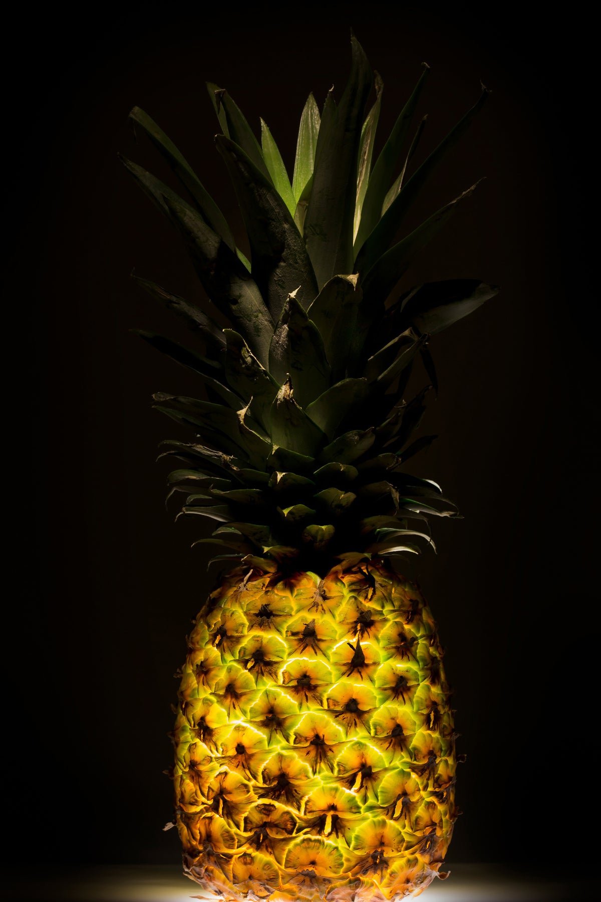 framedposter-print-pineapple