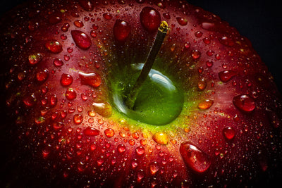 poster-print-red-apple-x
