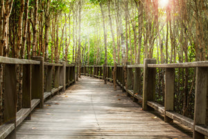 framedposter-print-wooden-bridge