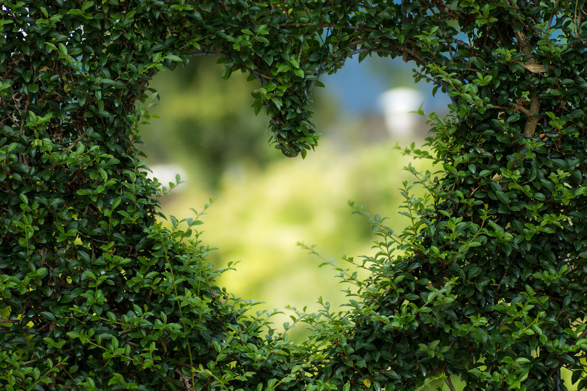 aluminium-print-the-heart-in-the-hedge