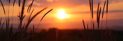 panoramic-poster-print-adorable-sunset-panorama
