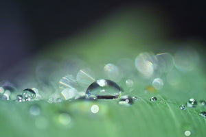 aluminium-print-drops-of-water-in-xxl