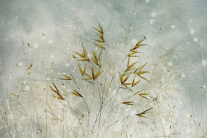 acrylic-print-wintertime-x