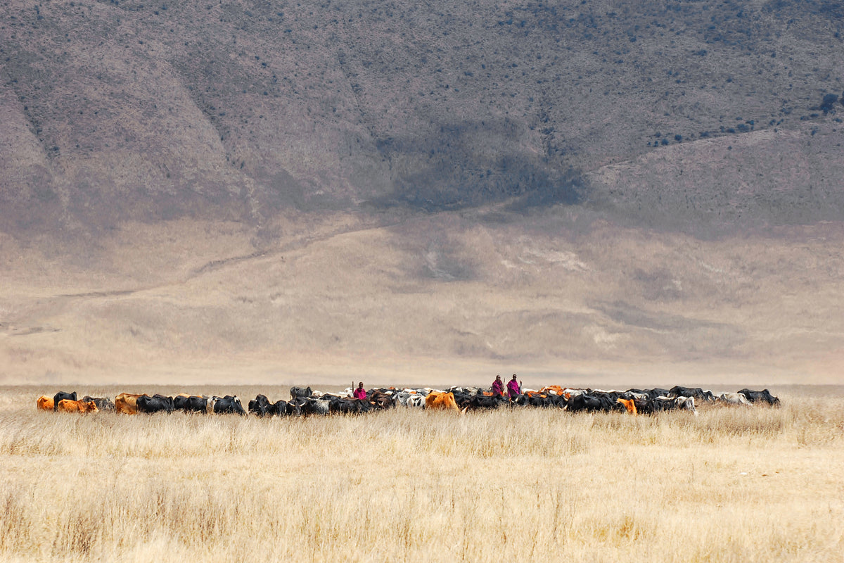 acrylic-print-incredible-maasai