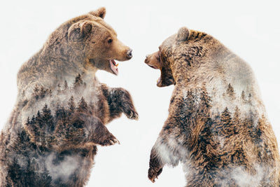 poster-print-wild-conflicts-x