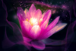 3-piece-acrylic-print-lily-in-the-light-play