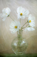 canvas-print-cosmos-breeze