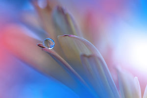 poster-print-touch-me-softly